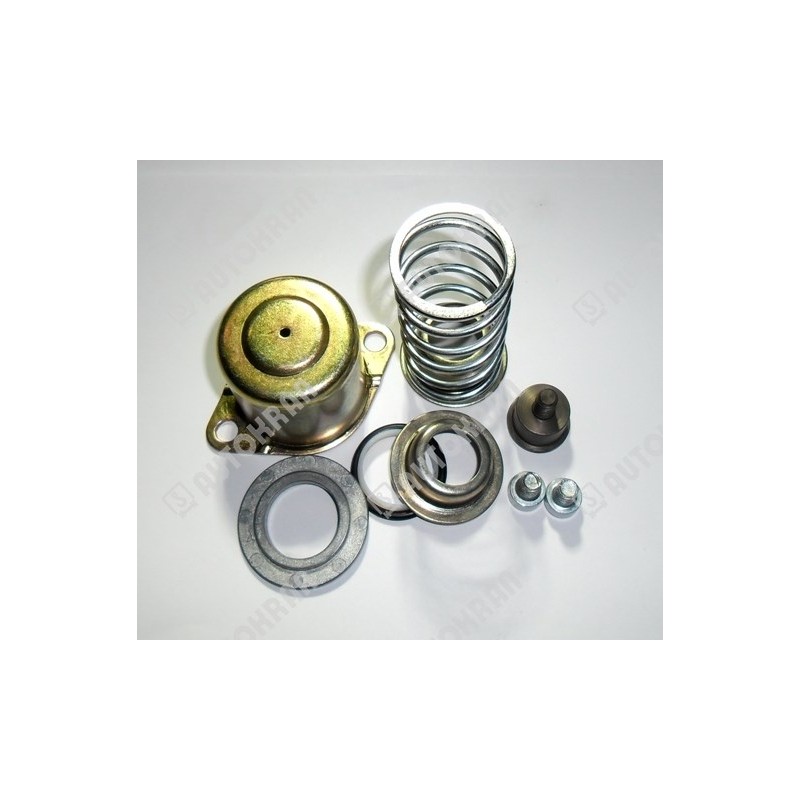 Pokrywa suwaka + (sprężyna suwaka fi29 + śruba i miseczka + podkładka i uszczelniacz)