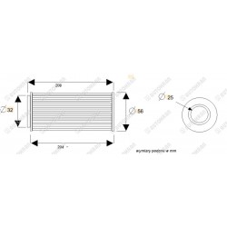 Wkład filtra ciśnieniowego FASSI - ZFI 0006 ZFI0006 - oryginał