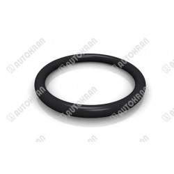 Oring PALFINGER EO142