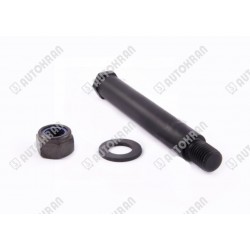 Sworzeń z nakrętką L210,...