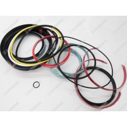 Uszczelnienie siłownika głównego ramienia Palfinger - TD 099