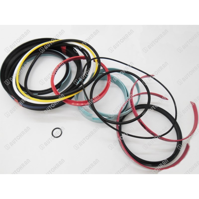 Uszczelnienie siłownika głównego ramienia Palfinger - TD 099